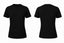 WOMEN-SHORT SLEEVE-TSHIRT